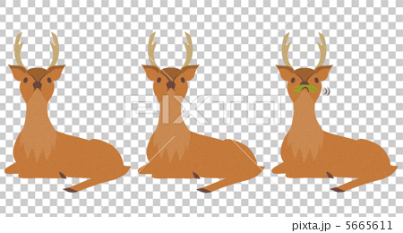 奈良の鹿3匹 1匹は食いしん坊 のイラスト素材