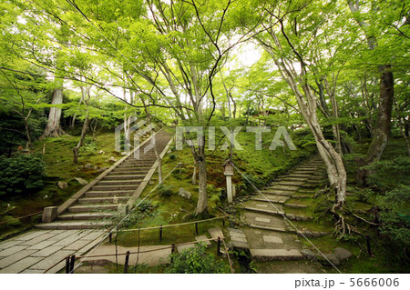 常寂光寺 5666006