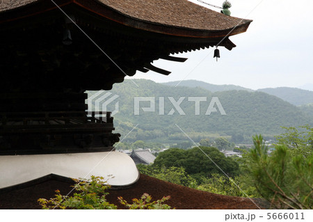 常寂光寺 常寂光寺 5666011