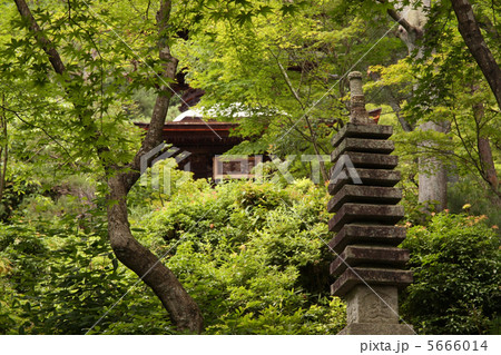 常寂光寺 常寂光寺 5666014