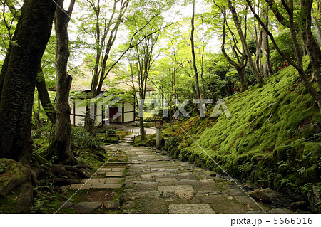 常寂光寺　仁王門 5666016