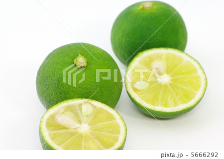 すだち すだち 5666292