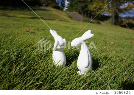 どうしたの？ 5666329