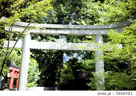 神社の鳥居 5666481