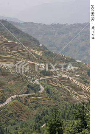 棚田 5666954