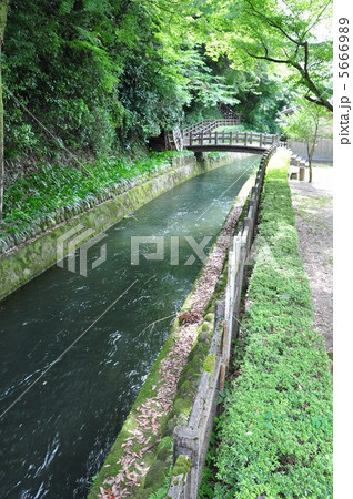 曽代用水 5666989