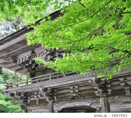 大矢田神社 大矢田神社 5667001