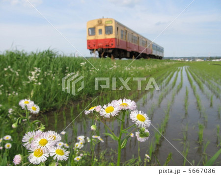 春の久留里線(キハ30形) 横田-東横田 春の久留里線(キハ30形) 横田-東横田 5667086