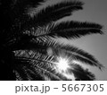名残りの空 5667305
