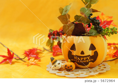ハロウィン 5672964
