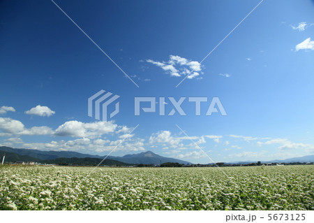 伊吹山 5673125