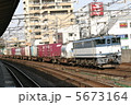 総武線　西千葉駅　EF65 5673164