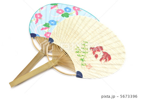 うちわ　朝顔金魚　白バック 5673396