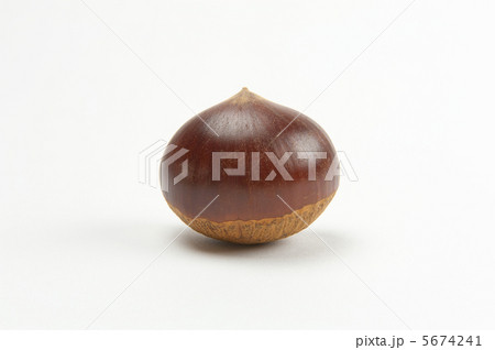 栗1つ 5674241