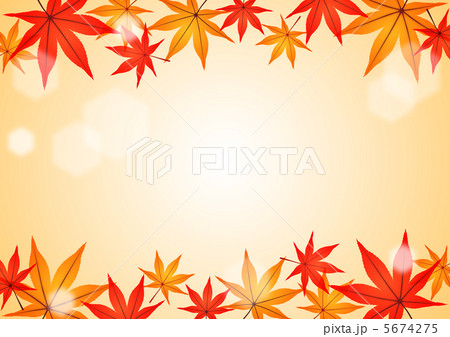 もみじの背景模様 5674275