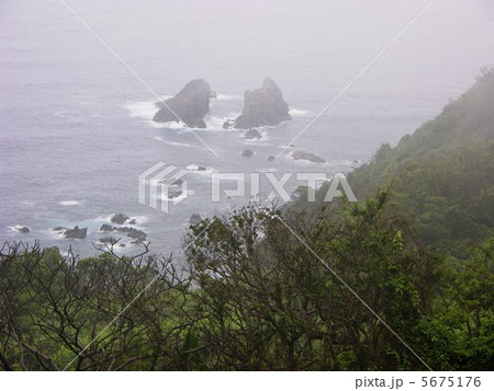 霧にむせぶ野間岬 5675176