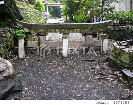 桜島埋没鳥居拝見 桜島埋没鳥居拝見 5675208