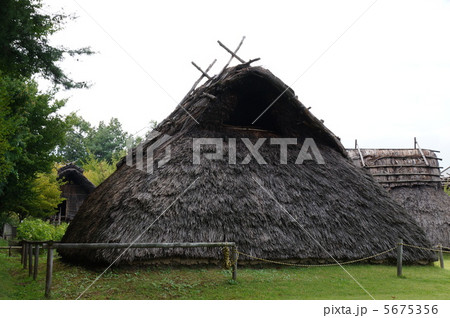 科野の里歴史公園(秋の屋代清水遺跡) 5675356