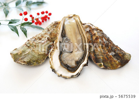 牡蠣 5675539