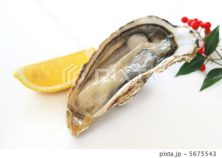 牡蠣 5675543