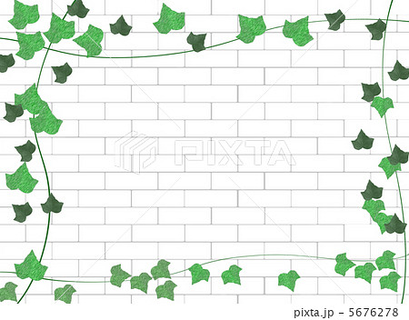 白塗りレンガ 蔦のイラスト素材