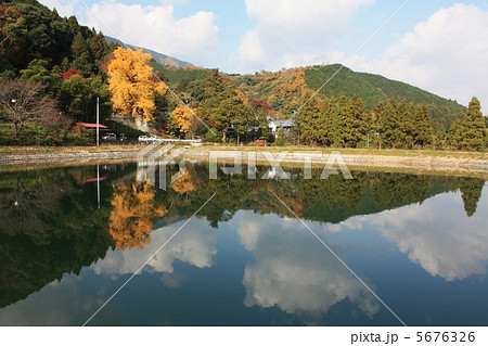 一言主神社の神木 5676326