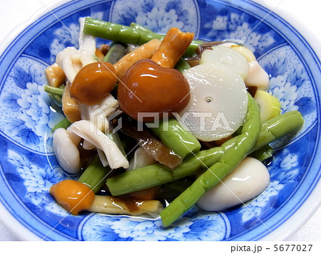 山菜の水煮 山菜の水煮 5677027