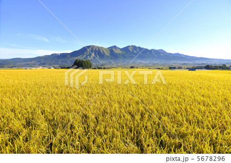 秋の阿蘇 5678296