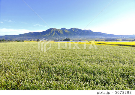 秋の阿蘇 5678298