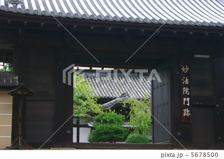 京都 妙法院門跡 京都 妙法院門跡 5678500
