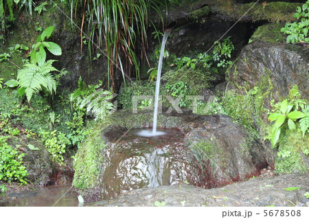 山の湧水 5678508