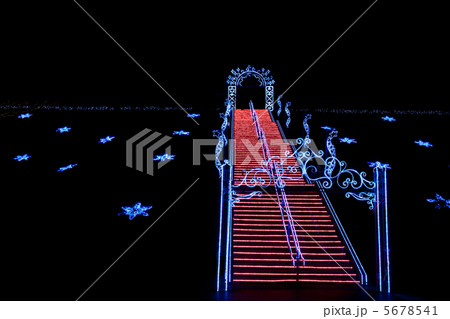 Christmas illuminations  5678541