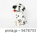 可愛いキュートな子犬のダルメシアン　イラスト1 5678733