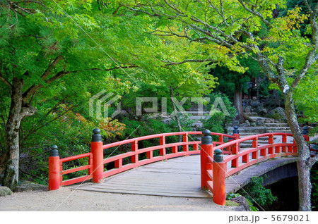 紅葉谷公園 5679021