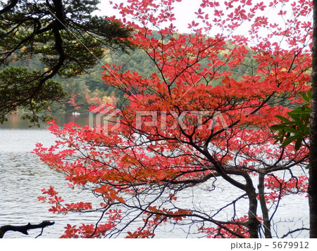 紅葉 紅葉 5679912