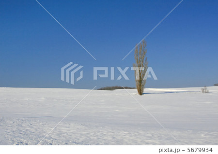雪の大地 5679934