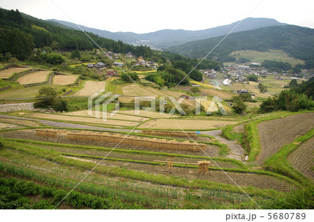 坂折棚田 坂折棚田 5680789
