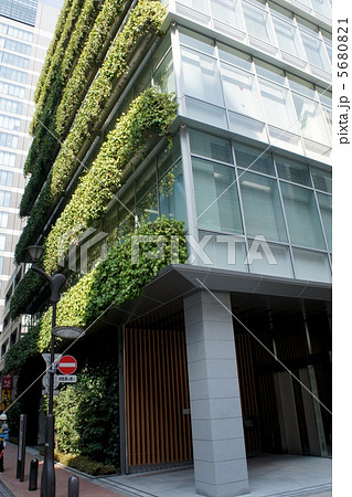 エコ 省エネ 壁面緑化 エコ 省エネ 壁面緑化 5680821