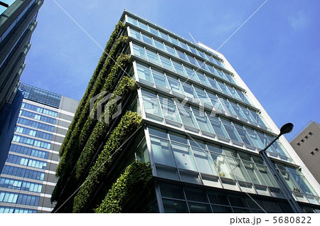 エコ 省エネ 壁面緑化 エコ 省エネ 壁面緑化 5680822