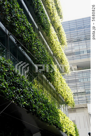 エコ 省エネ 壁面緑化 エコ 省エネ 壁面緑化 5680826