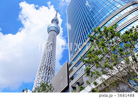 青空が広がる東京スカイツリーとイーストタワー 青空が広がる東京スカイツリーとイーストタワー 5681488