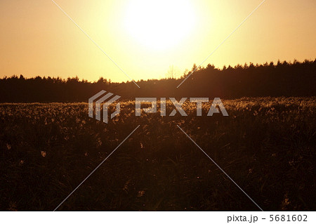 釧路湿原に沈む秋の夕日 5681602