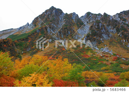 錦秋の千畳敷 5683466