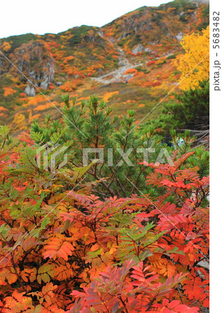 錦秋の千畳敷 5683482