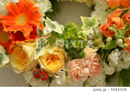 フレッシュフラワーリースⅡの７ 5683506