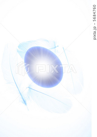 卵と羽 5684760
