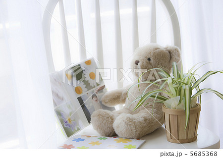 クマのぬいぐるみとフォトアルバム クマのぬいぐるみとフォトアルバム 5685368