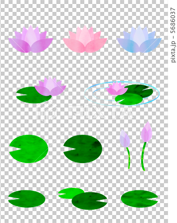 睡蓮セット 5686037
