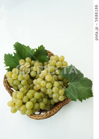 ナイヤガラぶどう 5686186