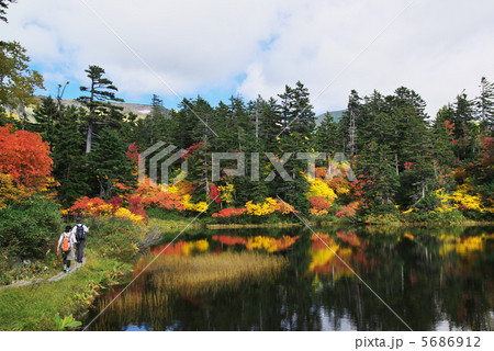 大雪山 高原沼登山コース 緑沼を歩く登山者 大雪山 高原沼登山コース 緑沼を歩く登山者 5686912